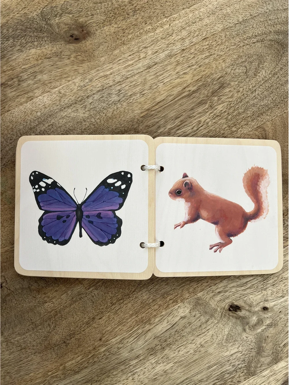 Lovevery Bundle, Hide & Find Drop Box Baby Toy and Colorful Animals Wooden Book